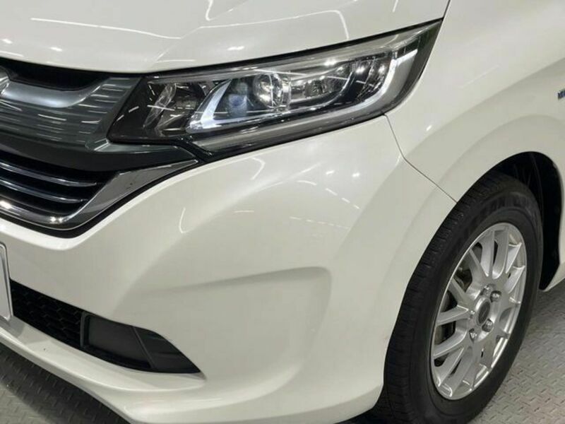 FREED HYBRID-12