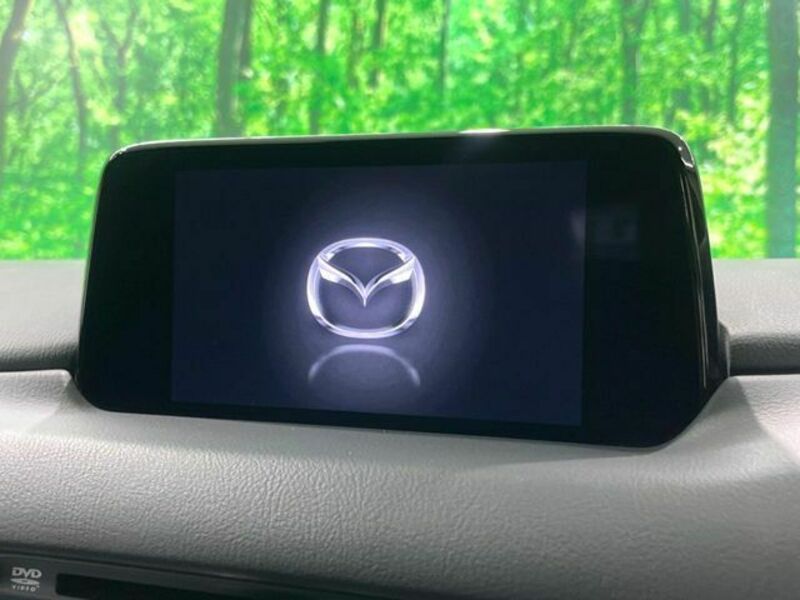 CX-8-2