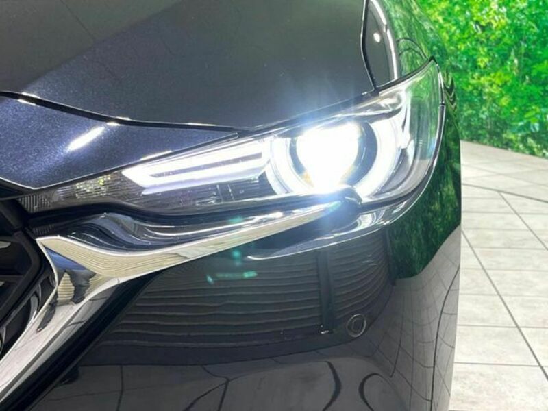 CX-8-12