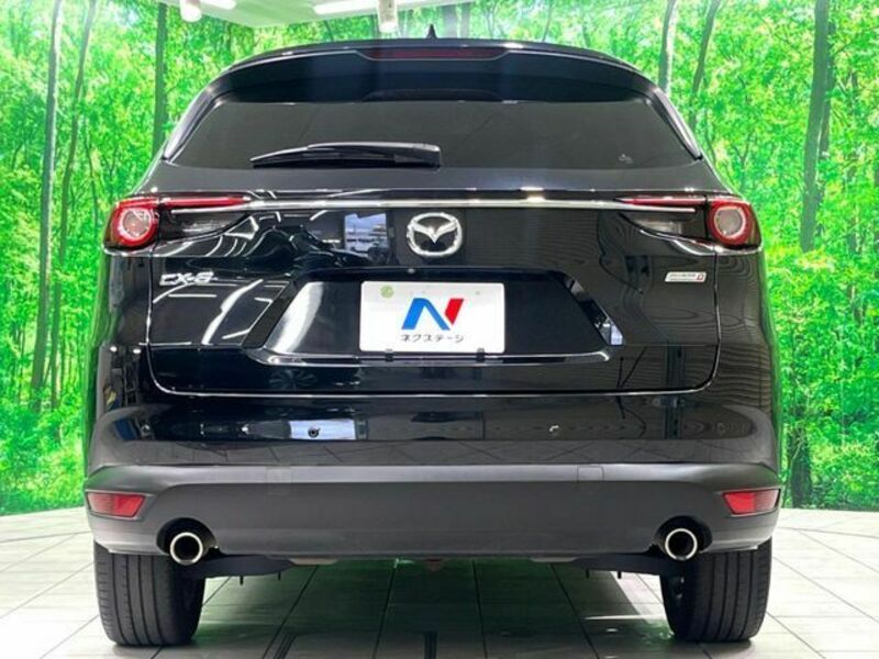 CX-8-15