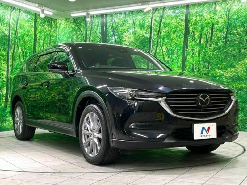 CX-8-16