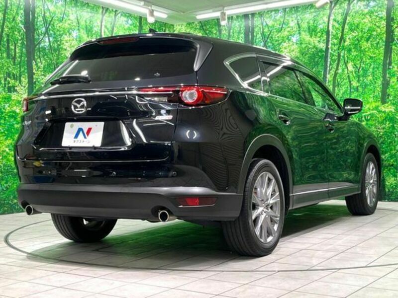 CX-8-17