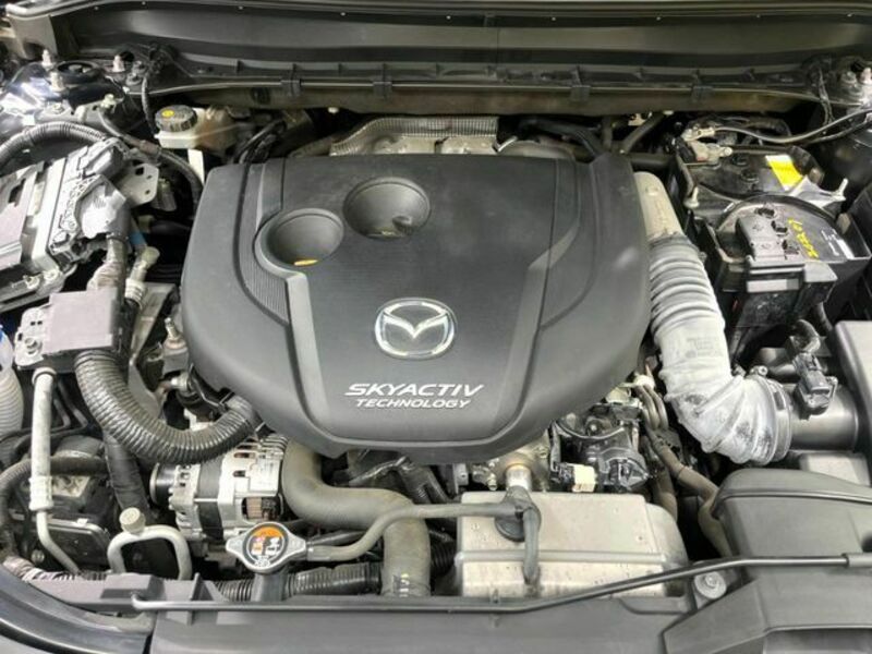 CX-8-18