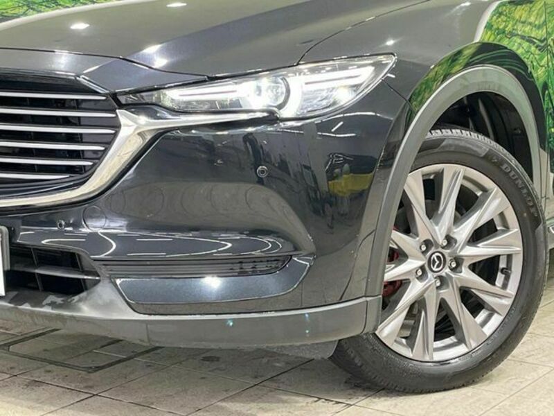 CX-8-12