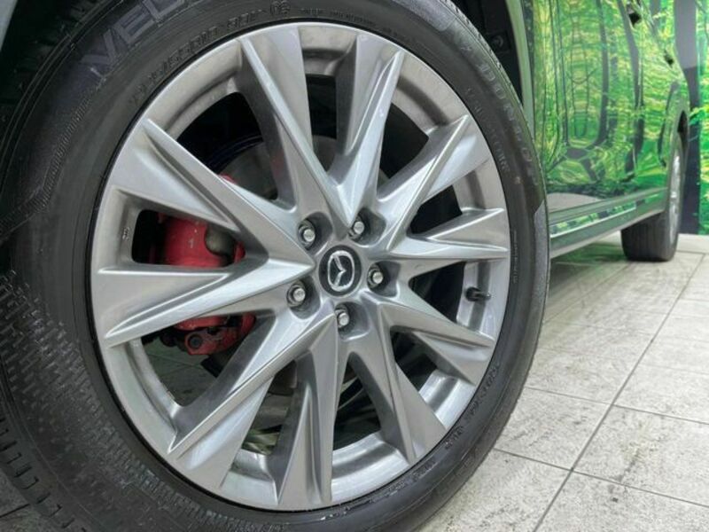 CX-8-13