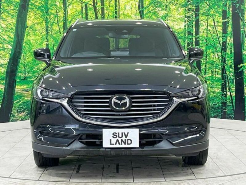 CX-8-14