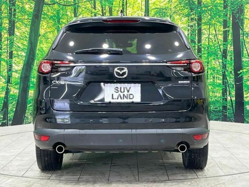 CX-8-15