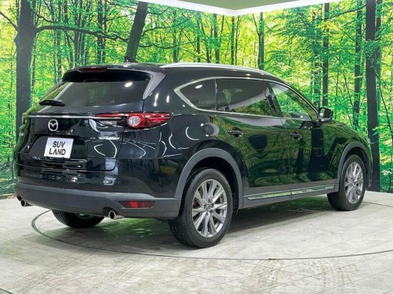 CX-8-17
