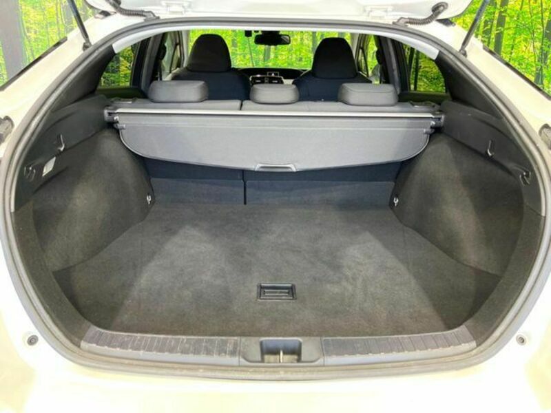 PRIUS-10