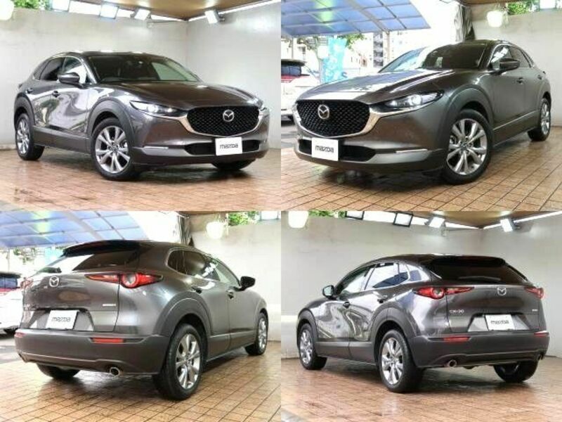 CX-30