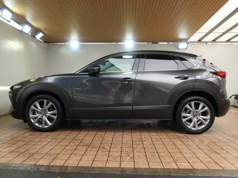CX-30