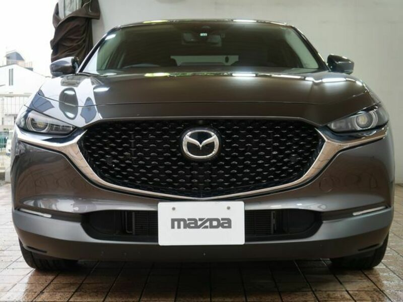 CX-30
