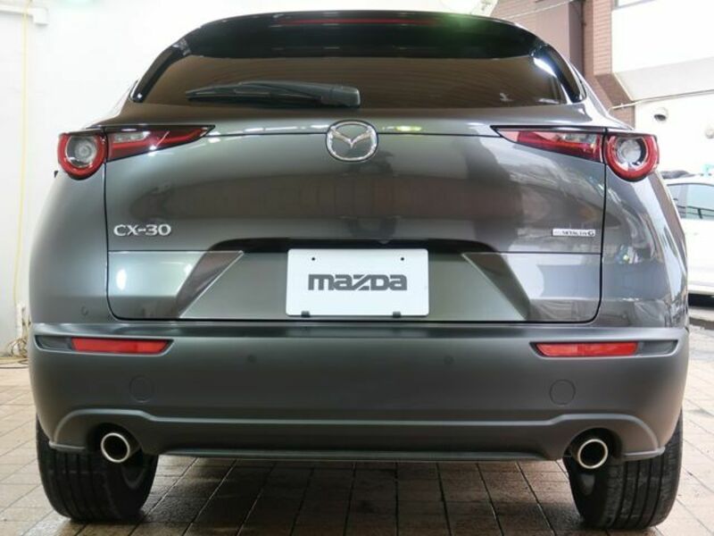 CX-30