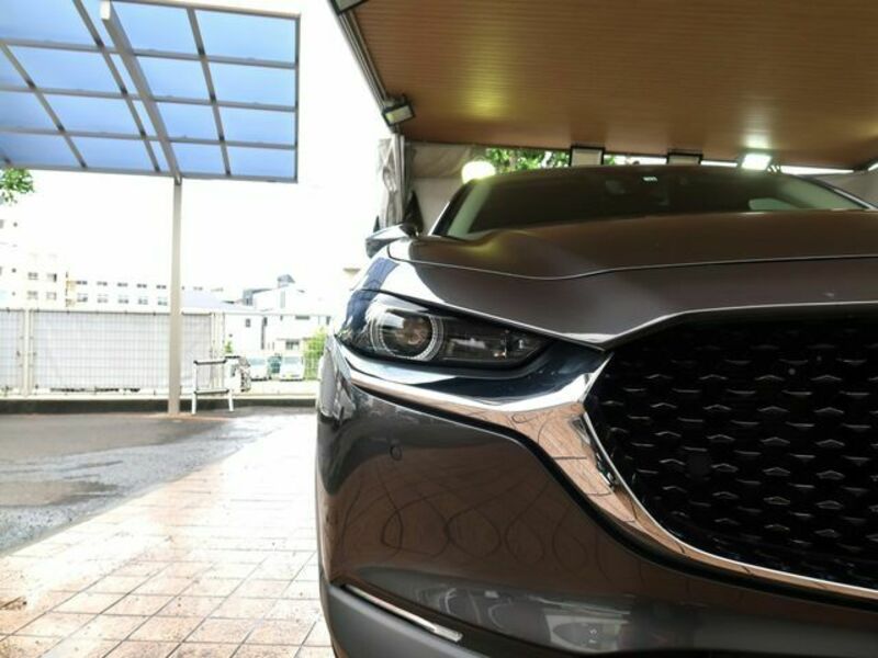 CX-30