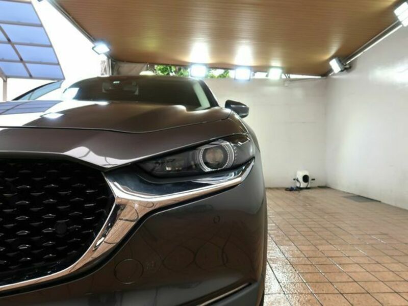 CX-30