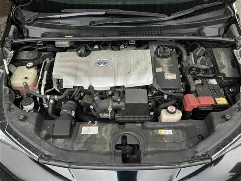 PRIUS-17