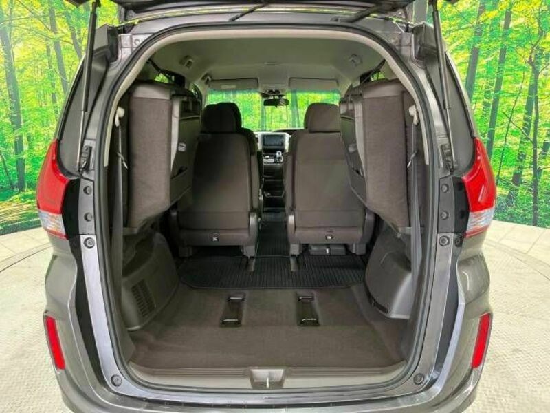 FREED HYBRID-11