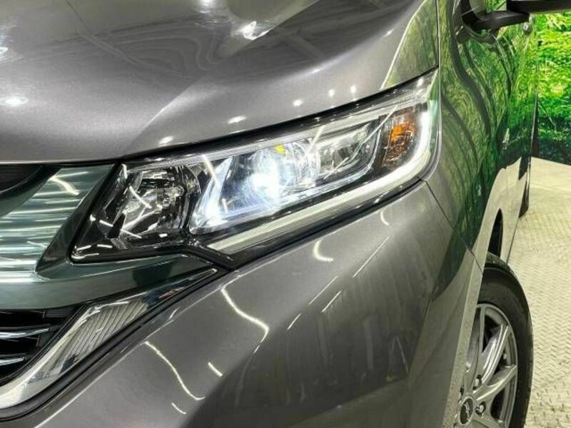 FREED HYBRID-13
