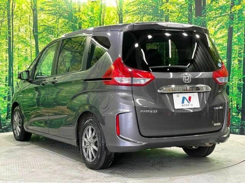 FREED HYBRID-18
