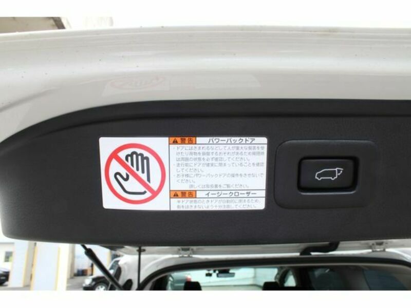 ALPHARD-19