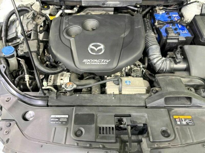 CX-5-16