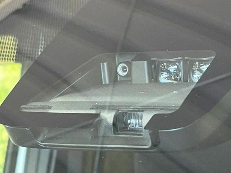 VOXY-3