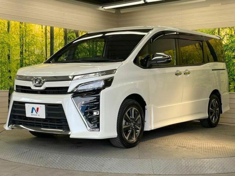VOXY-16