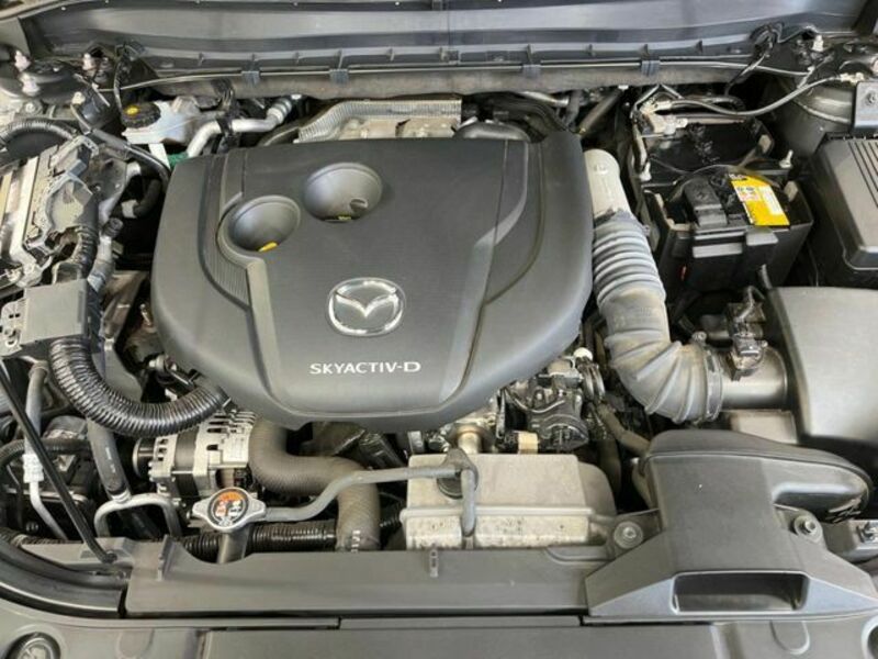 CX-5-17