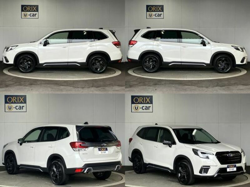 FORESTER