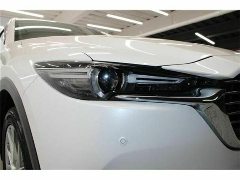 CX-8-10