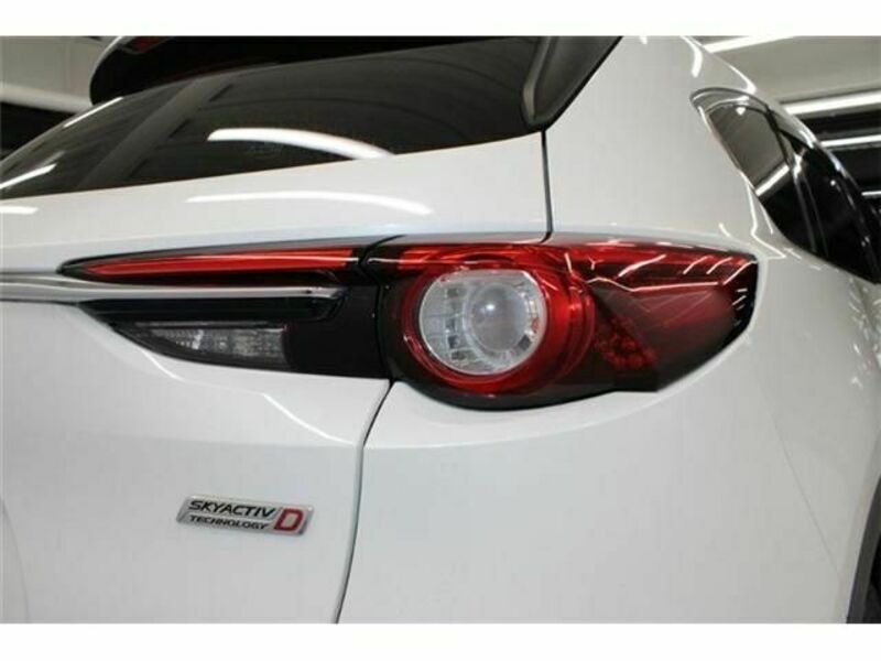 CX-8-11