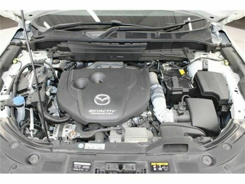 CX-8-18