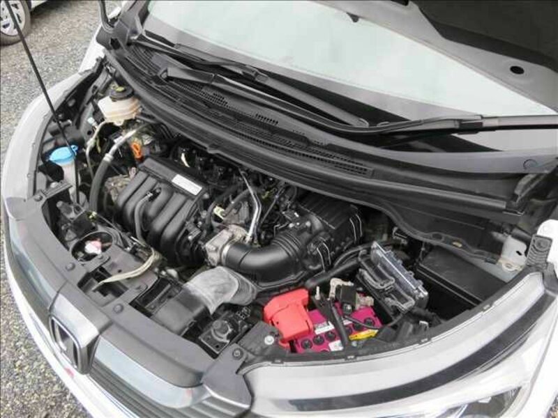 FREED HYBRID-19