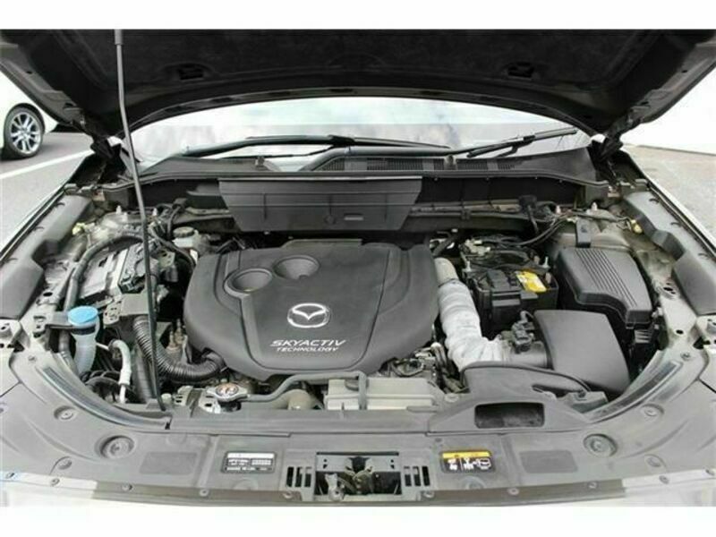 CX-8
