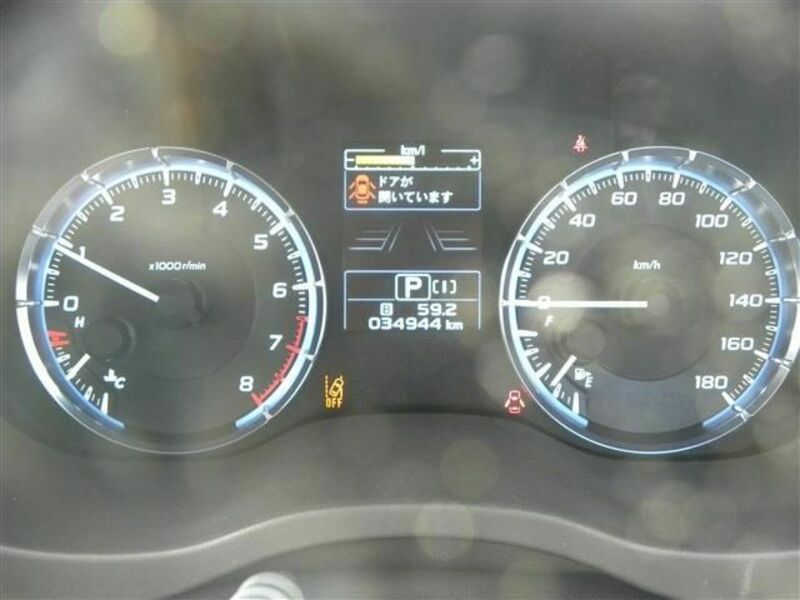 LEVORG-19