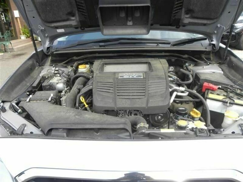 LEVORG-21