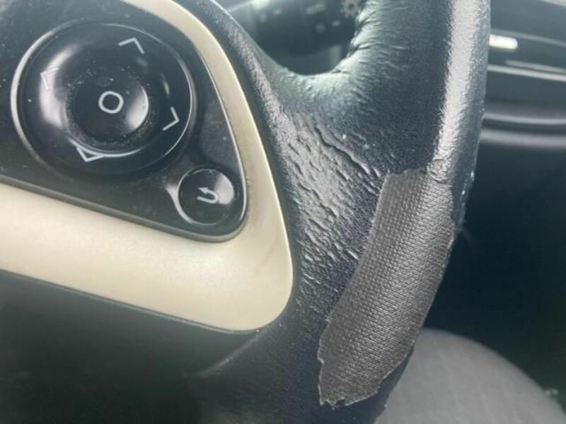 PRIUS-17