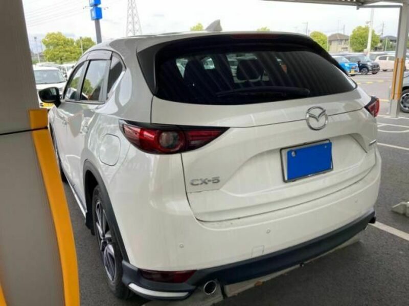 CX-5-3