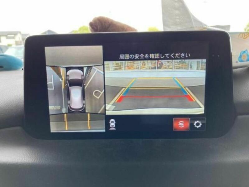 CX-5-19