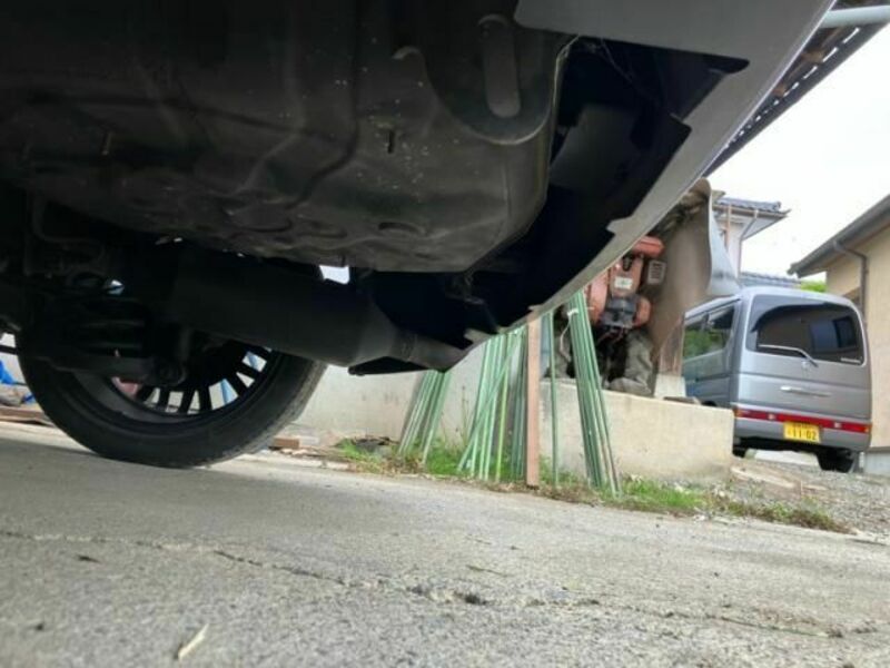 COROLLA RUMION