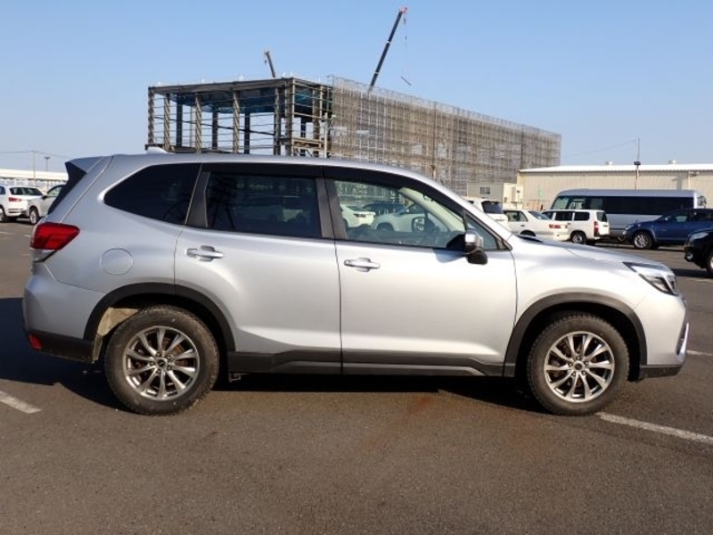 FORESTER