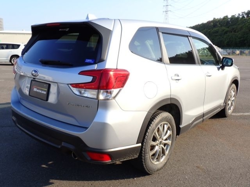 FORESTER