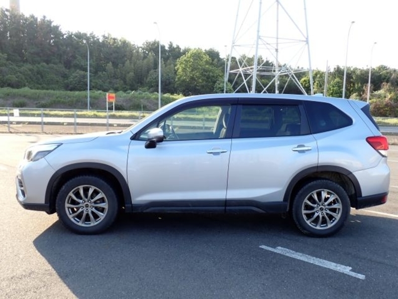 FORESTER