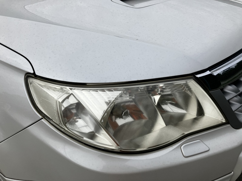 FORESTER-41