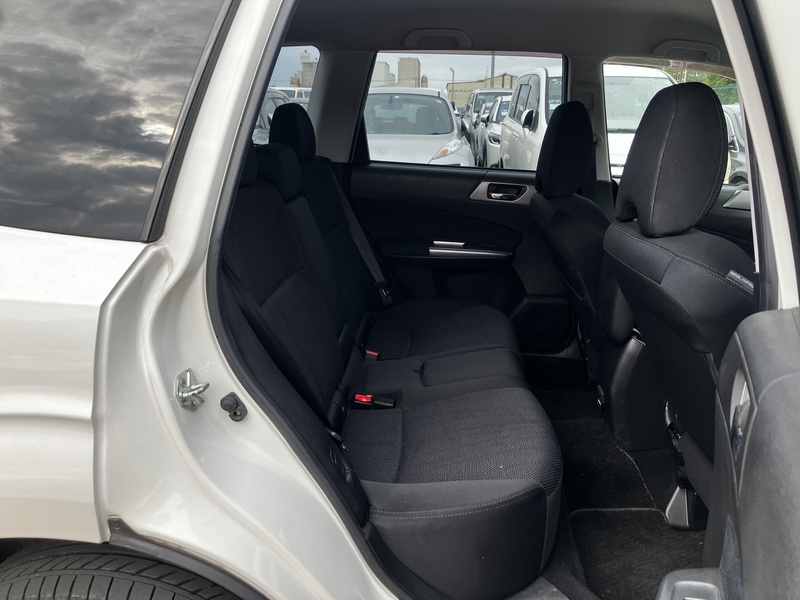 FORESTER-11