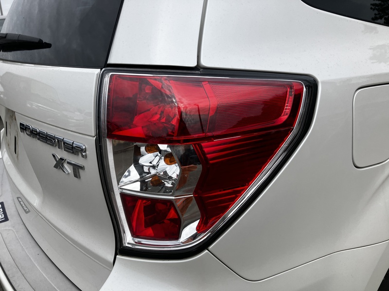 FORESTER-43