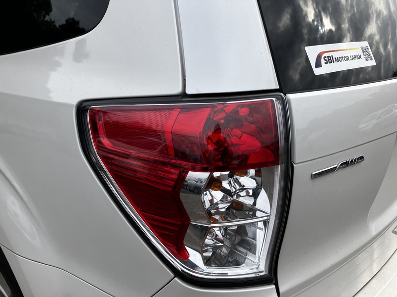 FORESTER-45