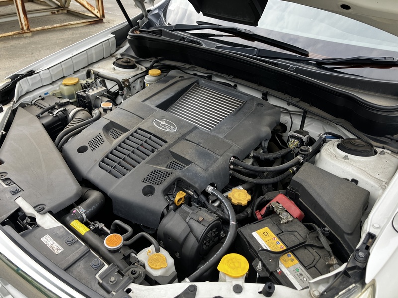FORESTER-17