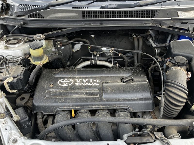 RAV4-16