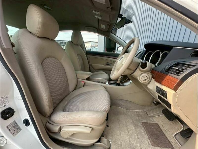 BLUEBIRD SYLPHY